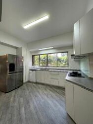 Nassim Mansion (D10), Apartment #409968521